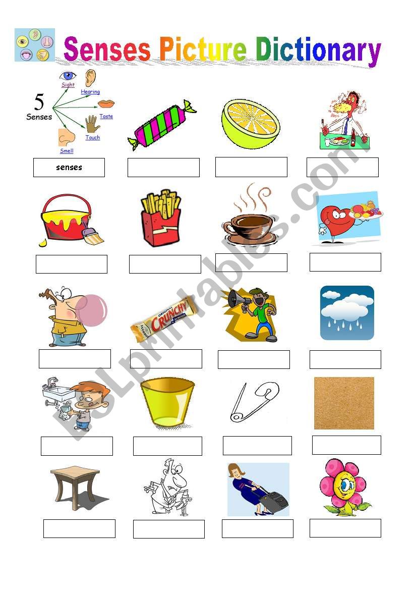 Senses Picture Dictionary worksheet