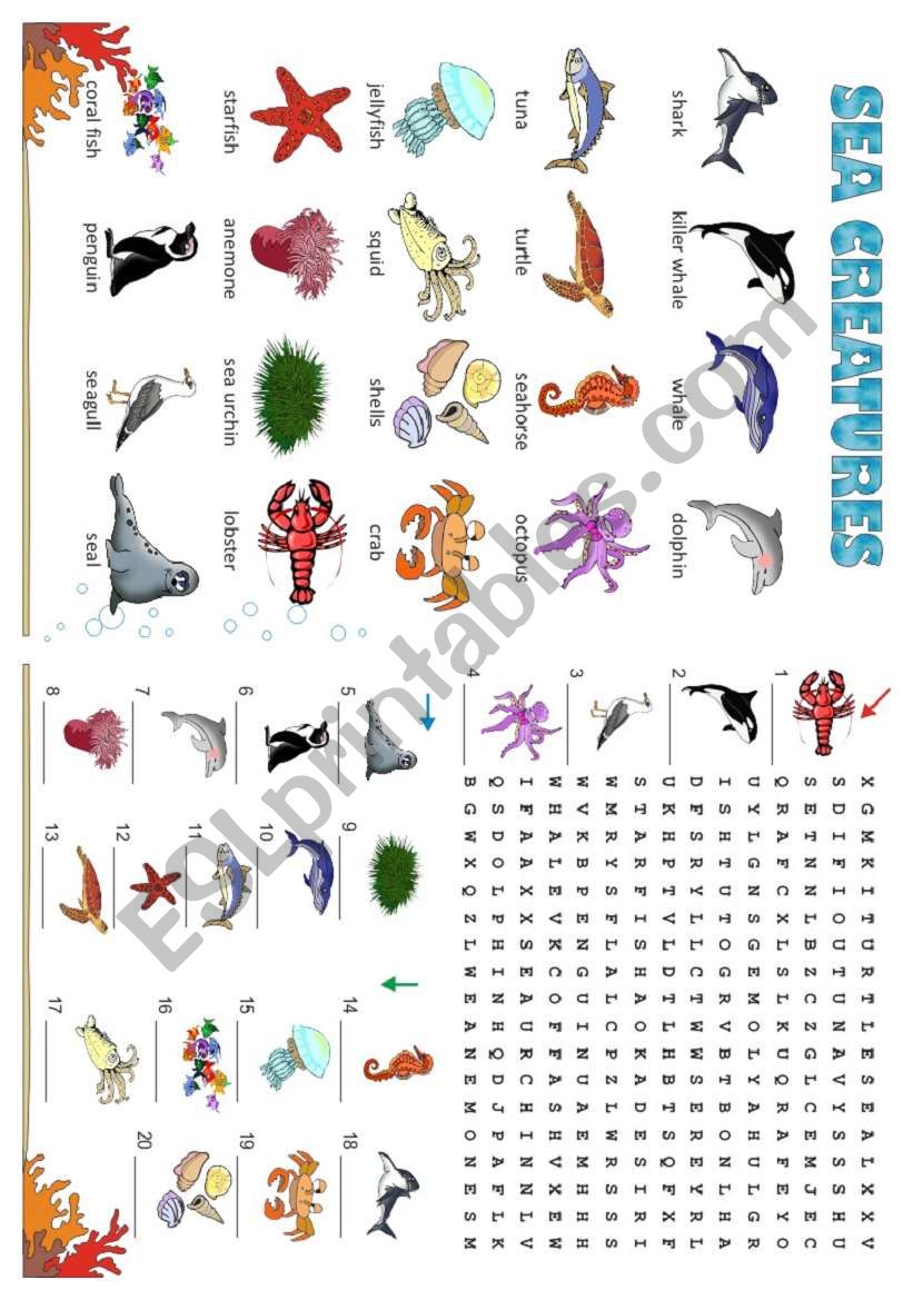 SEA CREATURES worksheet