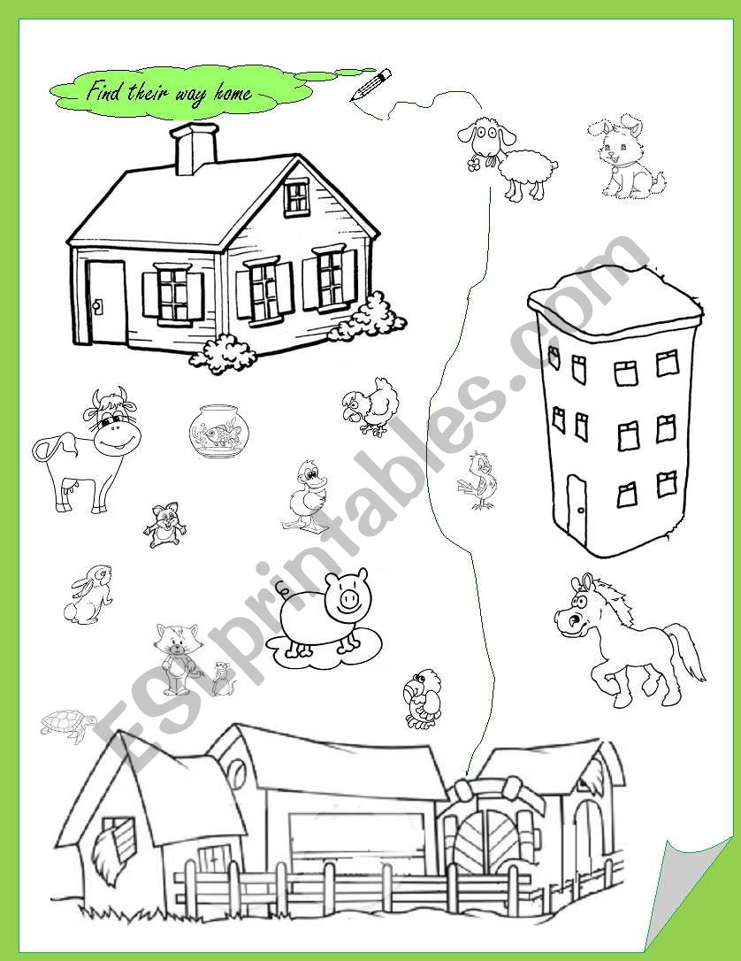 Domestic animals worksheet