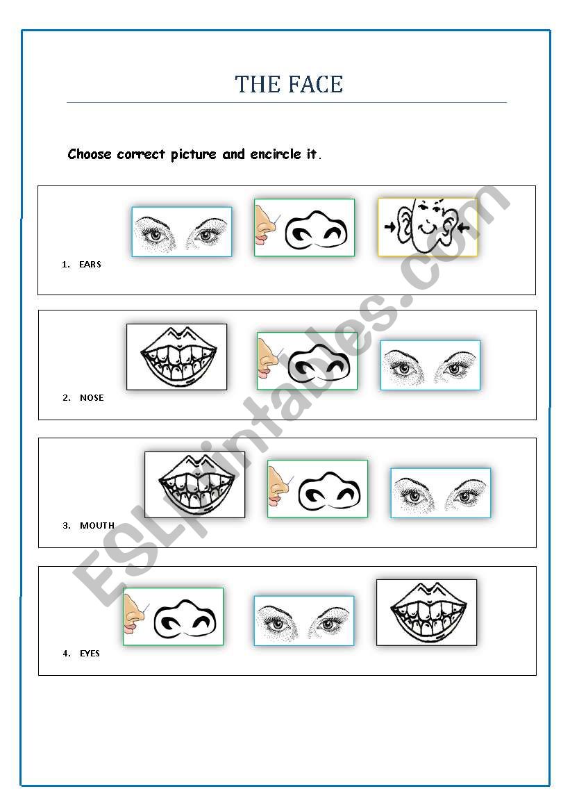 Practice activity on vocabulary related to face.