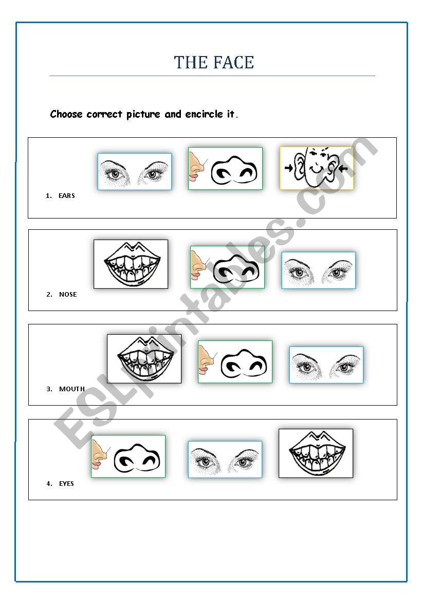 Practice activity on vocabulary related to face.