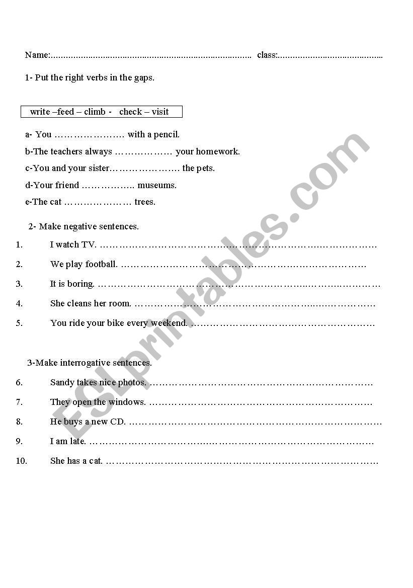 Simple Present Tense worksheet