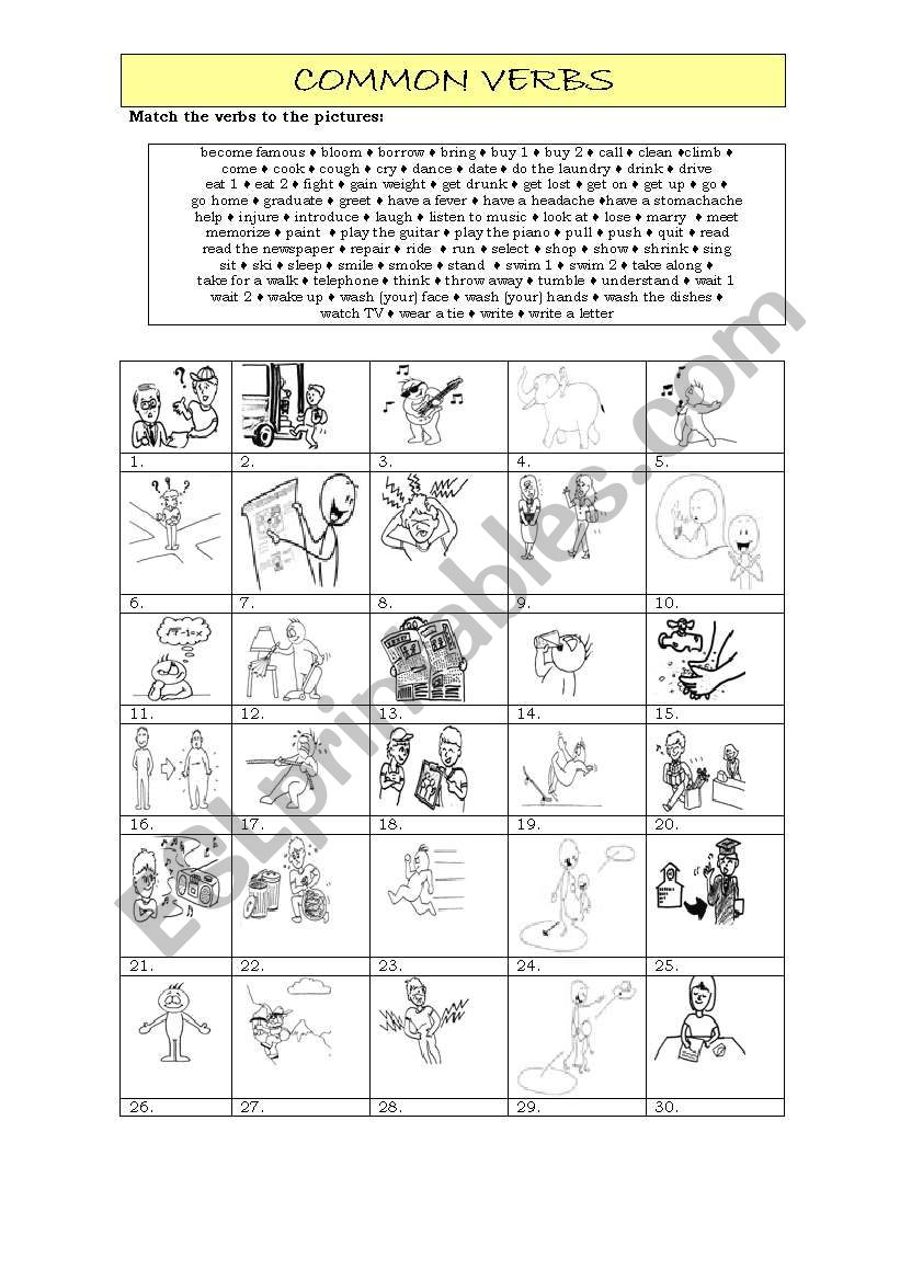 Common verbs worksheet