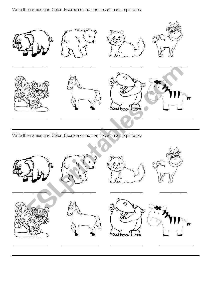 Animals worksheet
