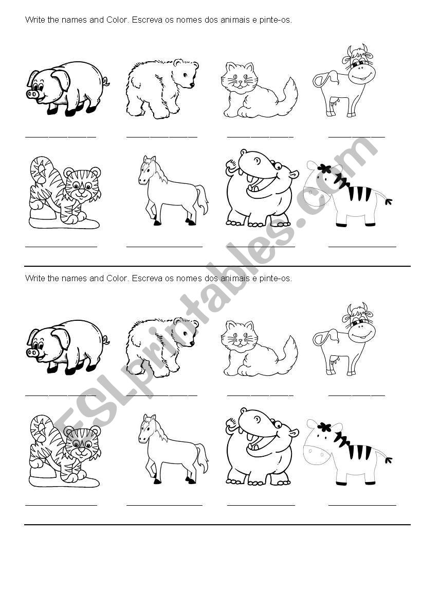 Animals worksheet