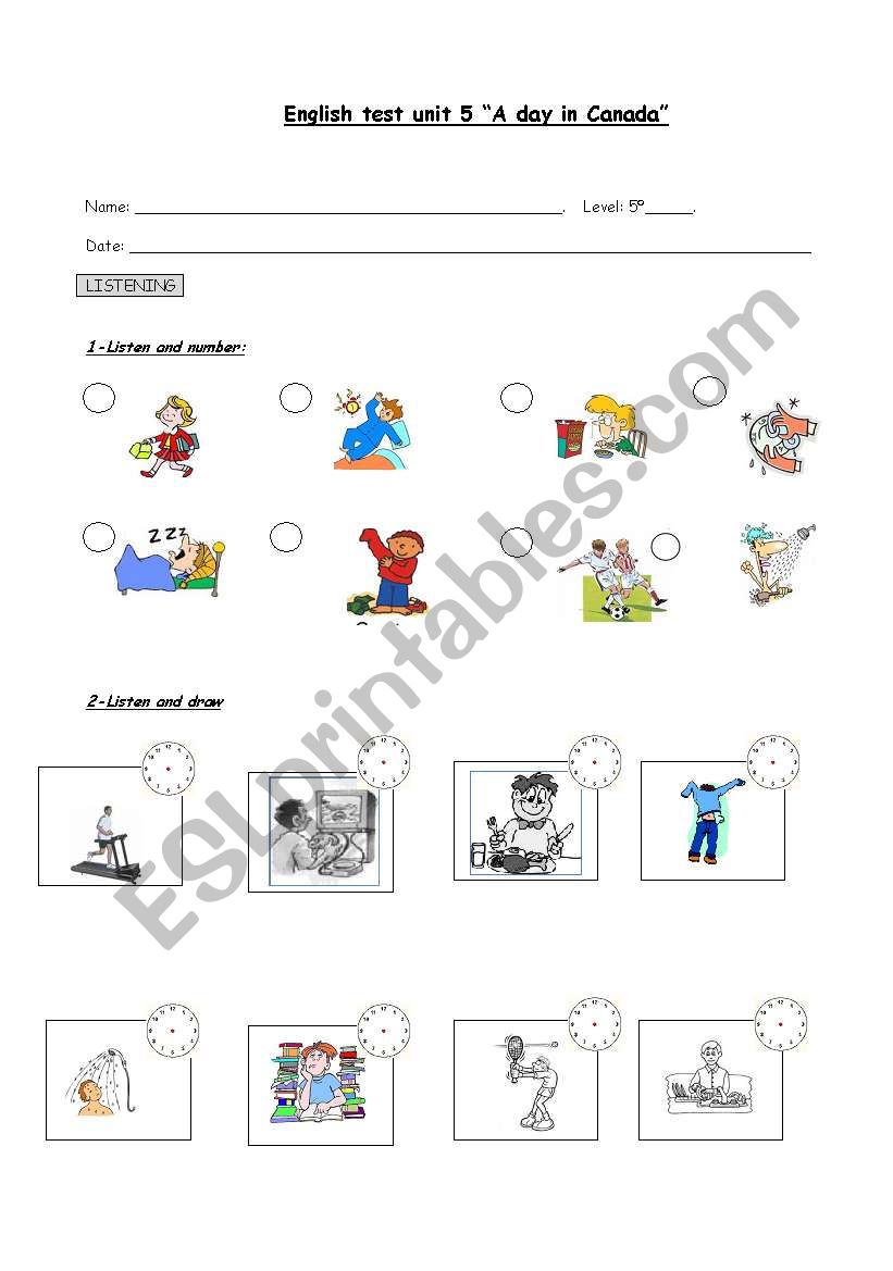 daily routines test worksheet