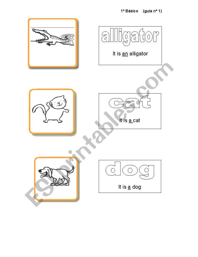 animals worksheet