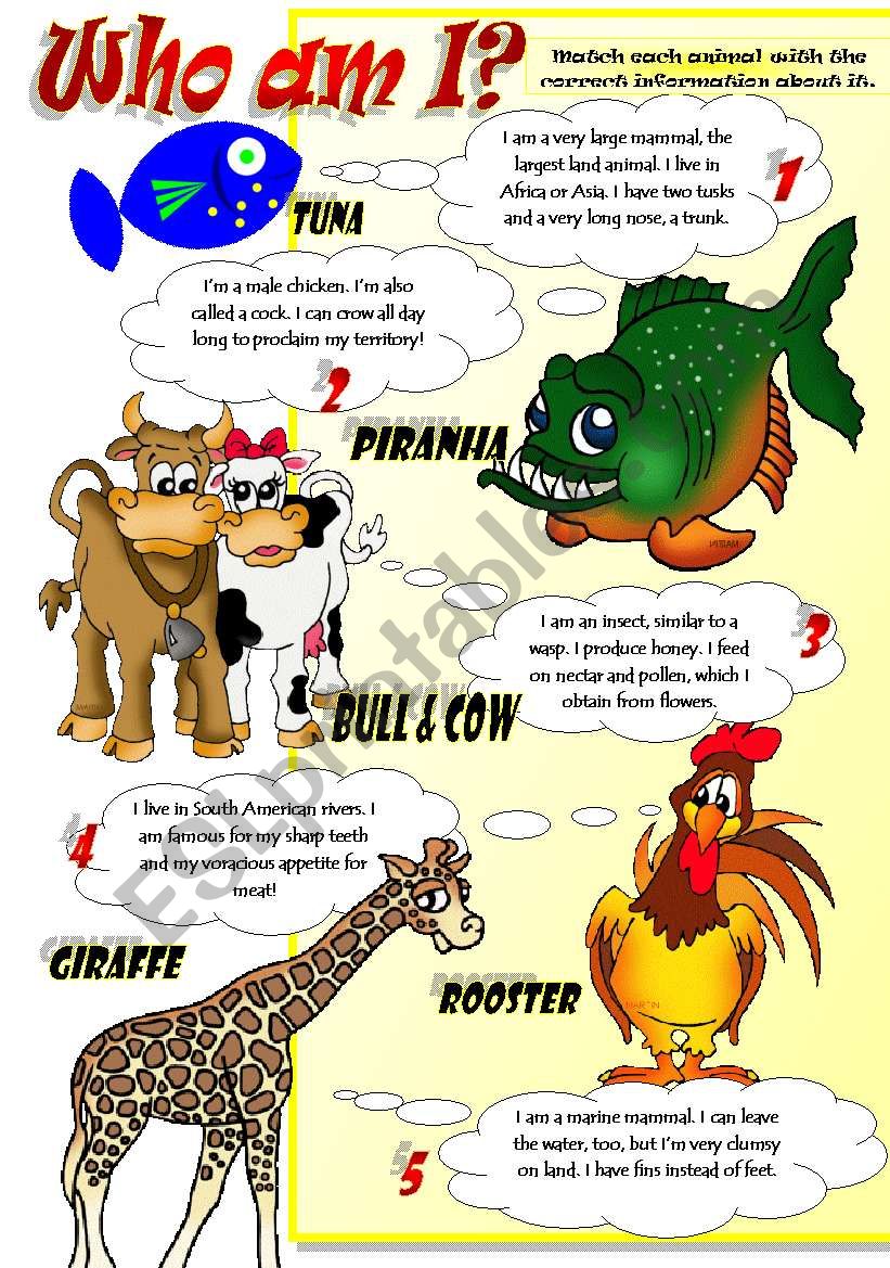 ANIMAL FACTS (Part 2) worksheet