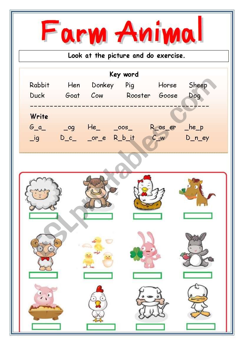 Farm Animal worksheet