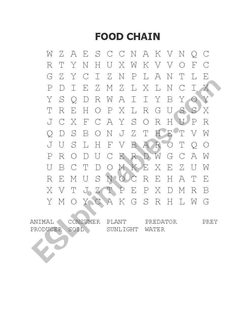 English Worksheets FOOD CHAIN WORD SEARCH
