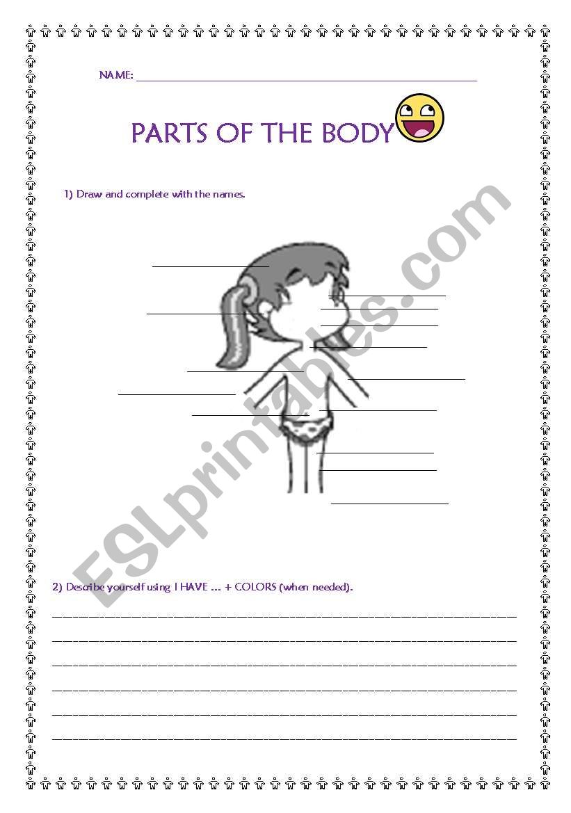 Parts o the body worksheet