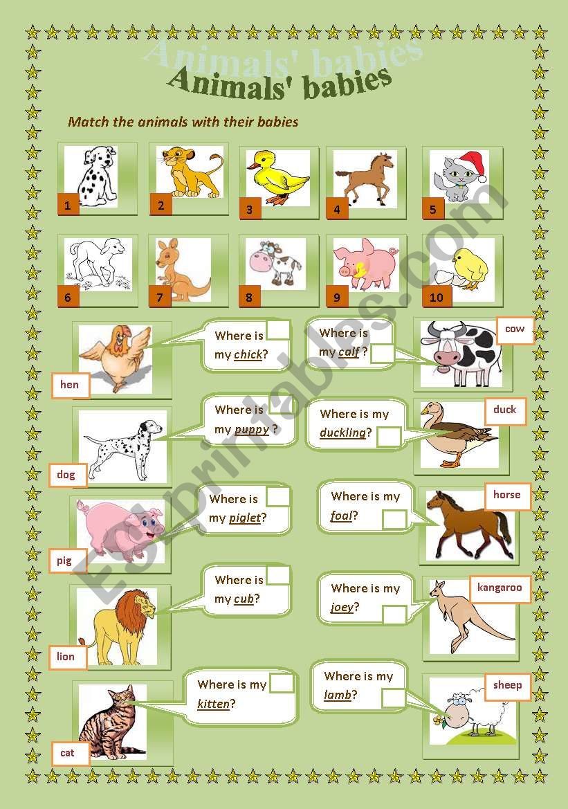 animalsÂ´ babies worksheet