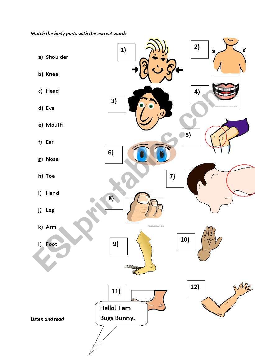 body parts worksheet