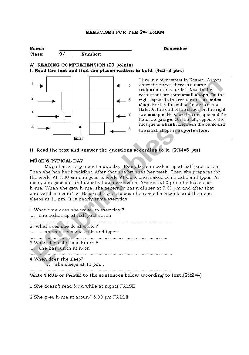 grammar exercises worksheet