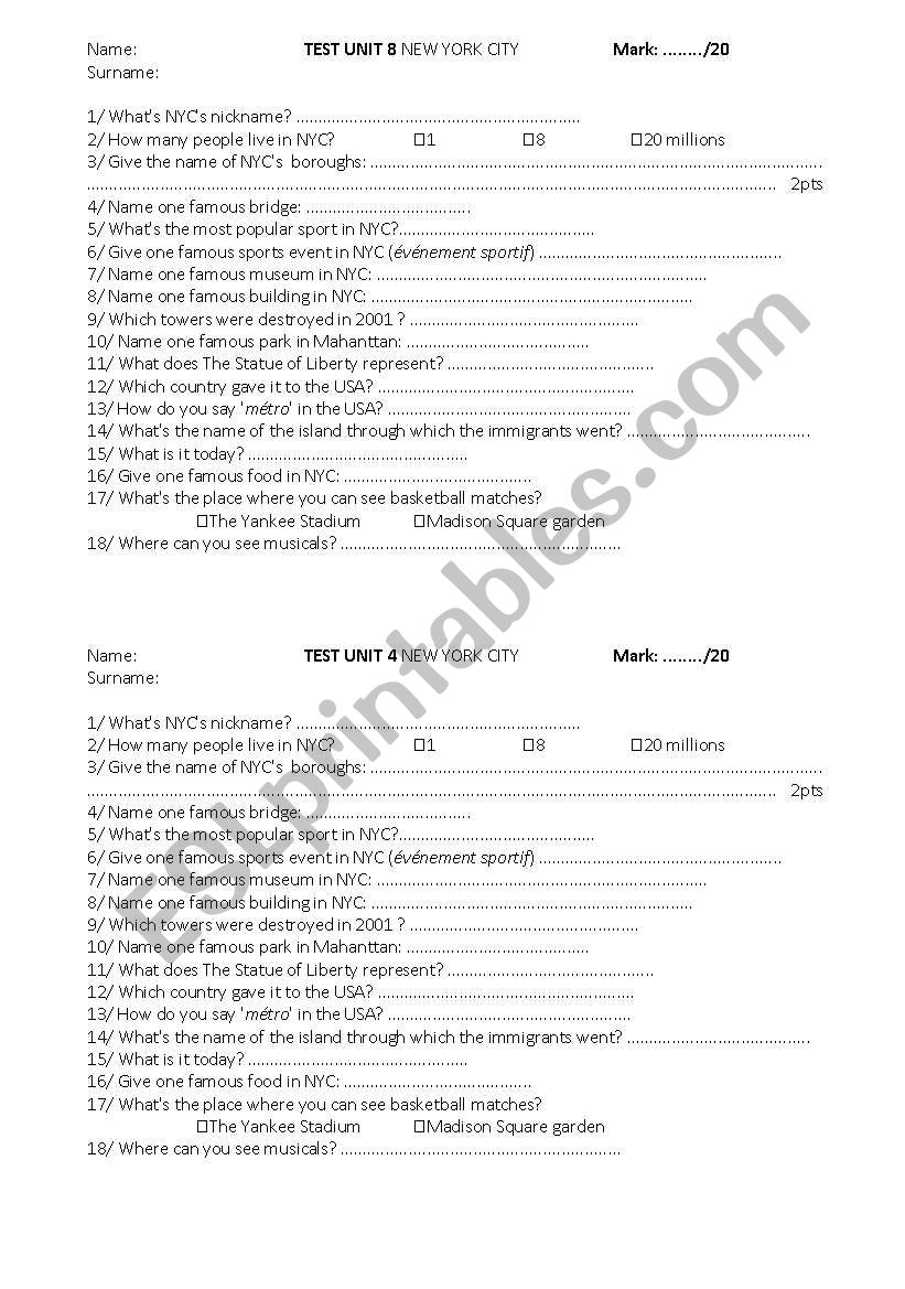 New York city test worksheet