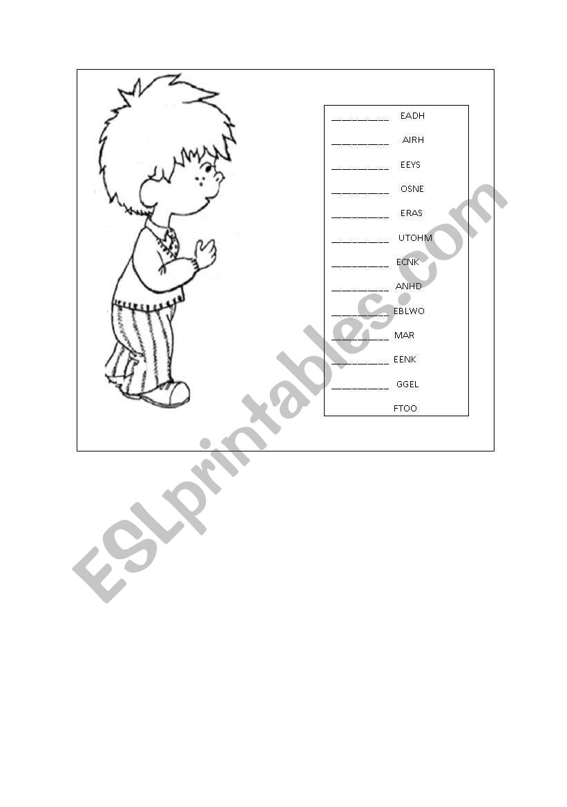 parts of the body worksheet
