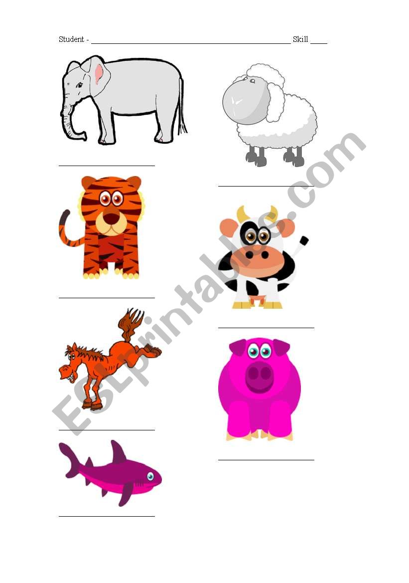 animals worksheet