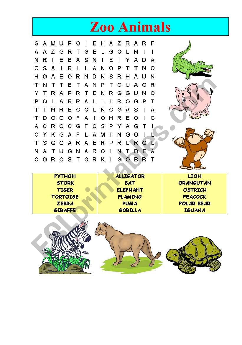 zoo animals  worksheet