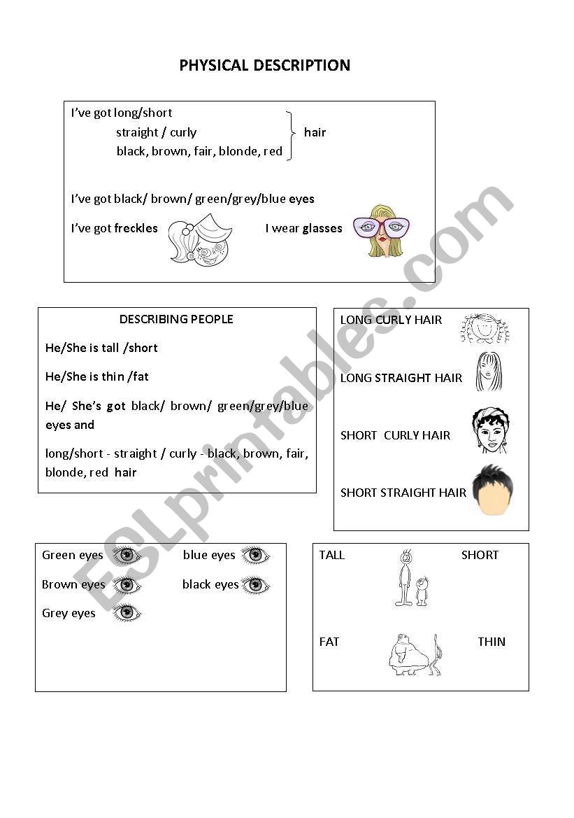 PHYSICAL DESCRIPTION worksheet