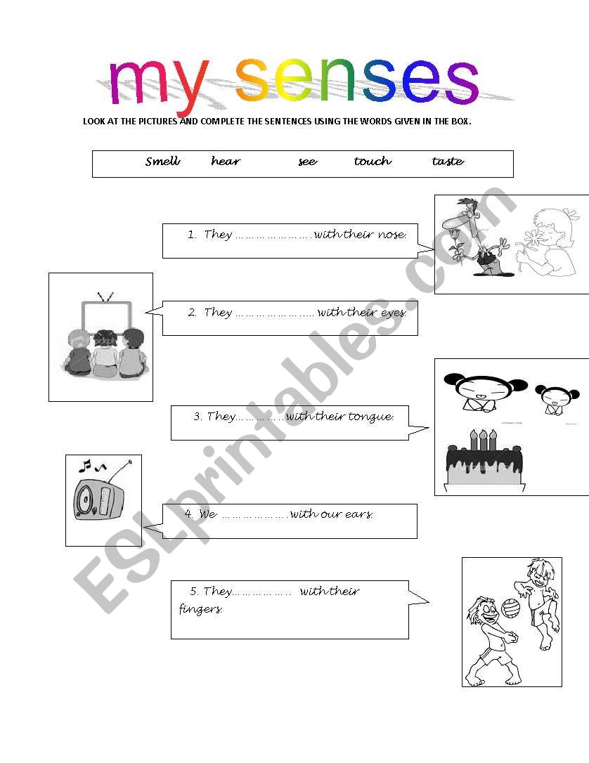 my senses worksheet