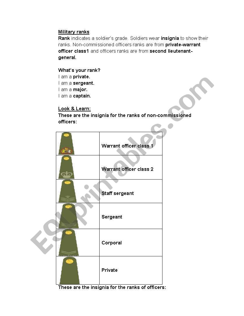 American Military Ranks worksheet