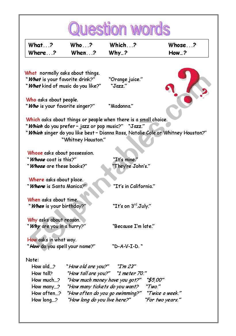 Question words worksheet