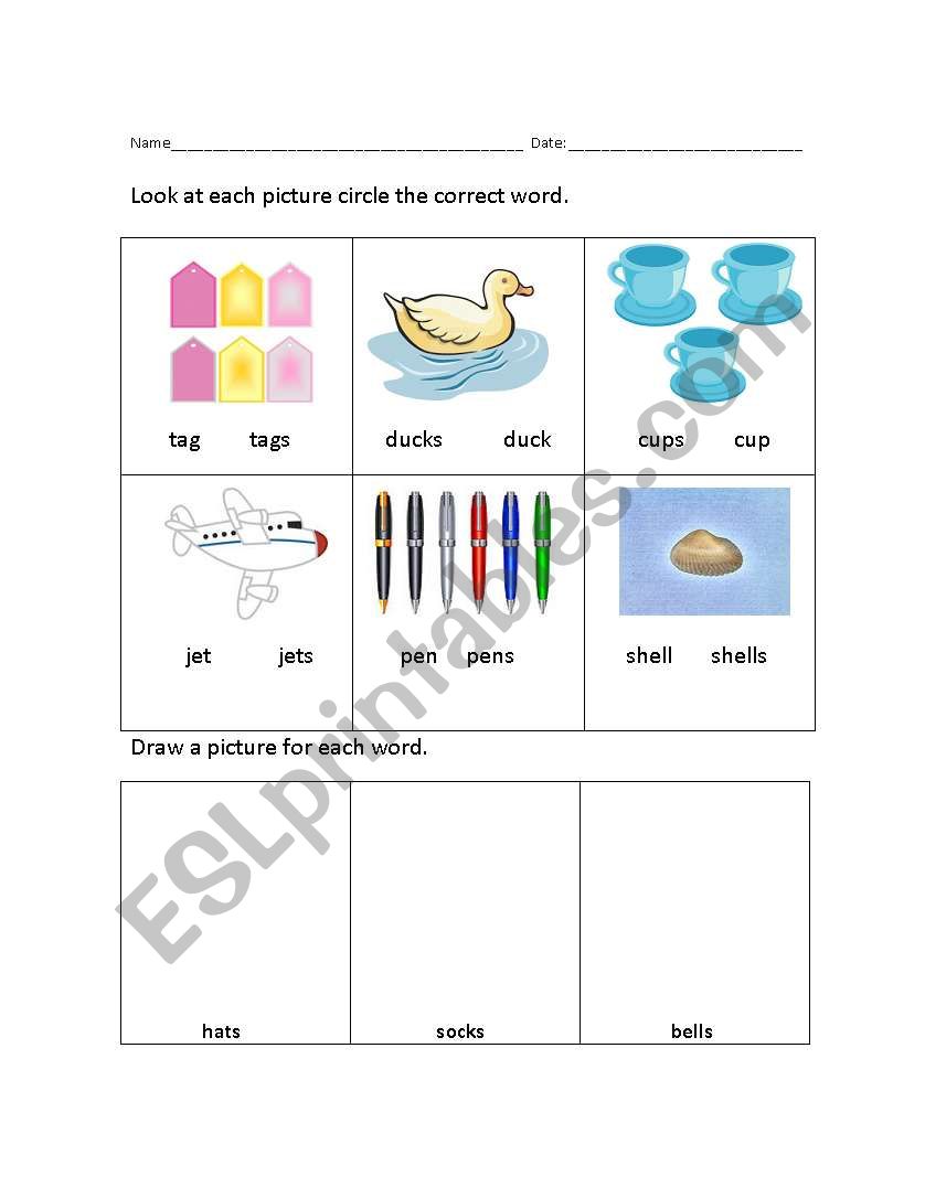 plural nouns worksheet