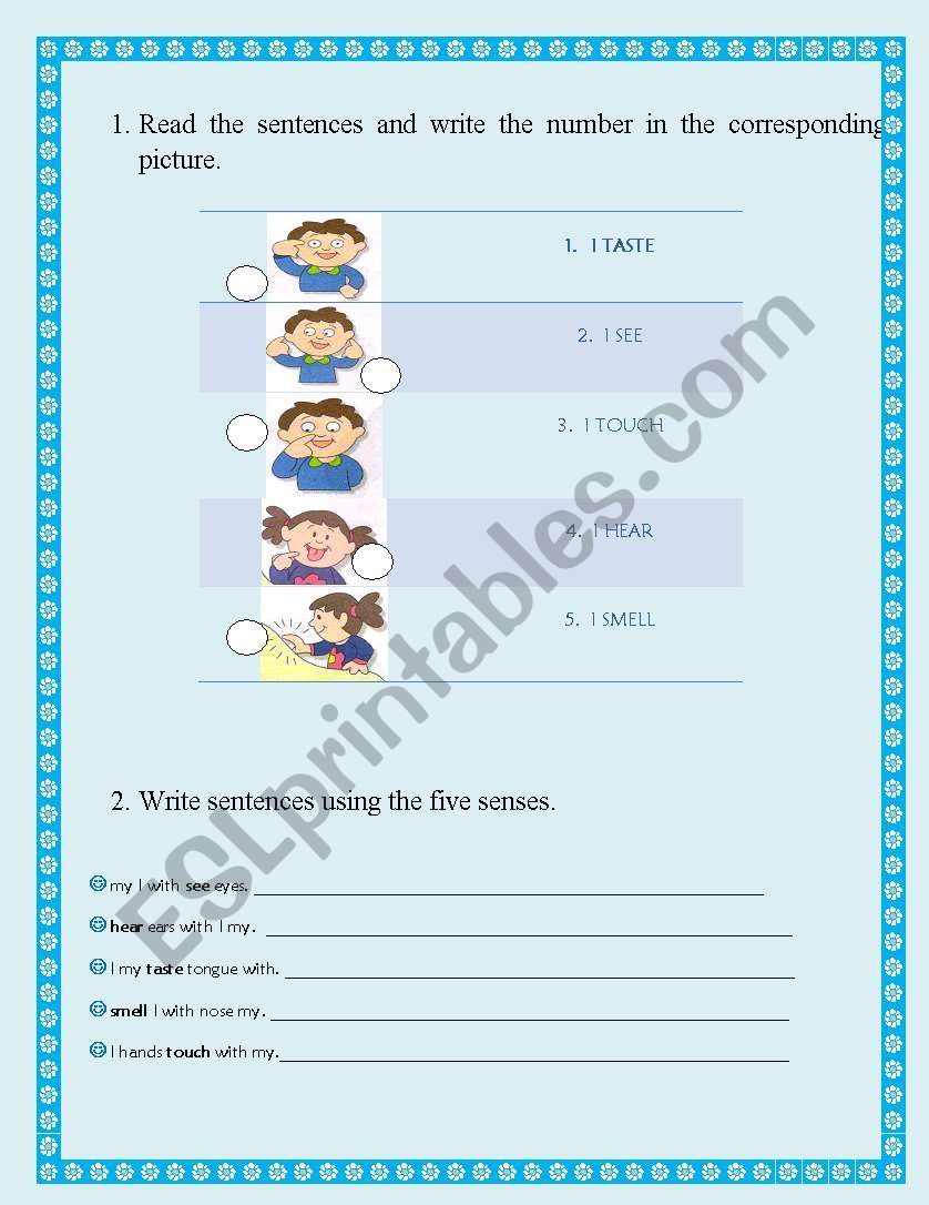 the five senses worksheet