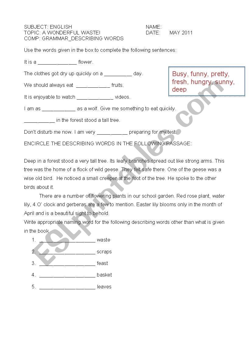 Describing words worksheet