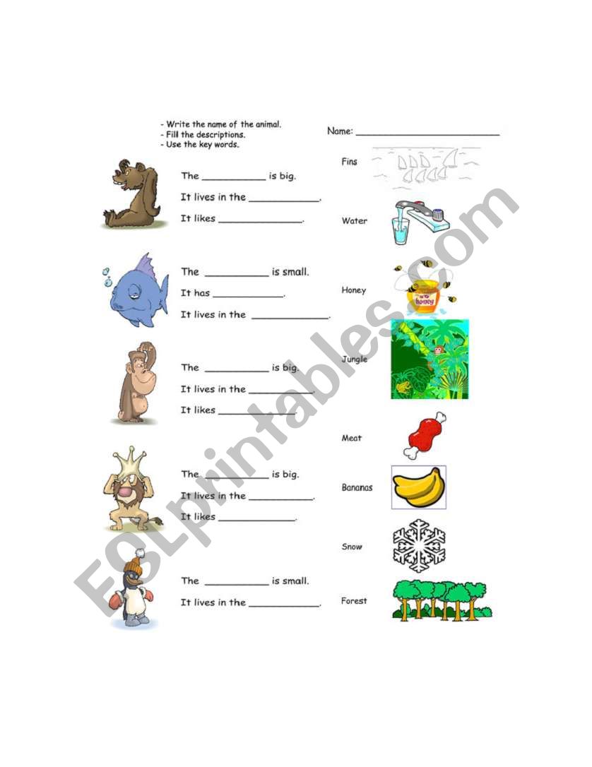 Animal riddles 1 worksheet