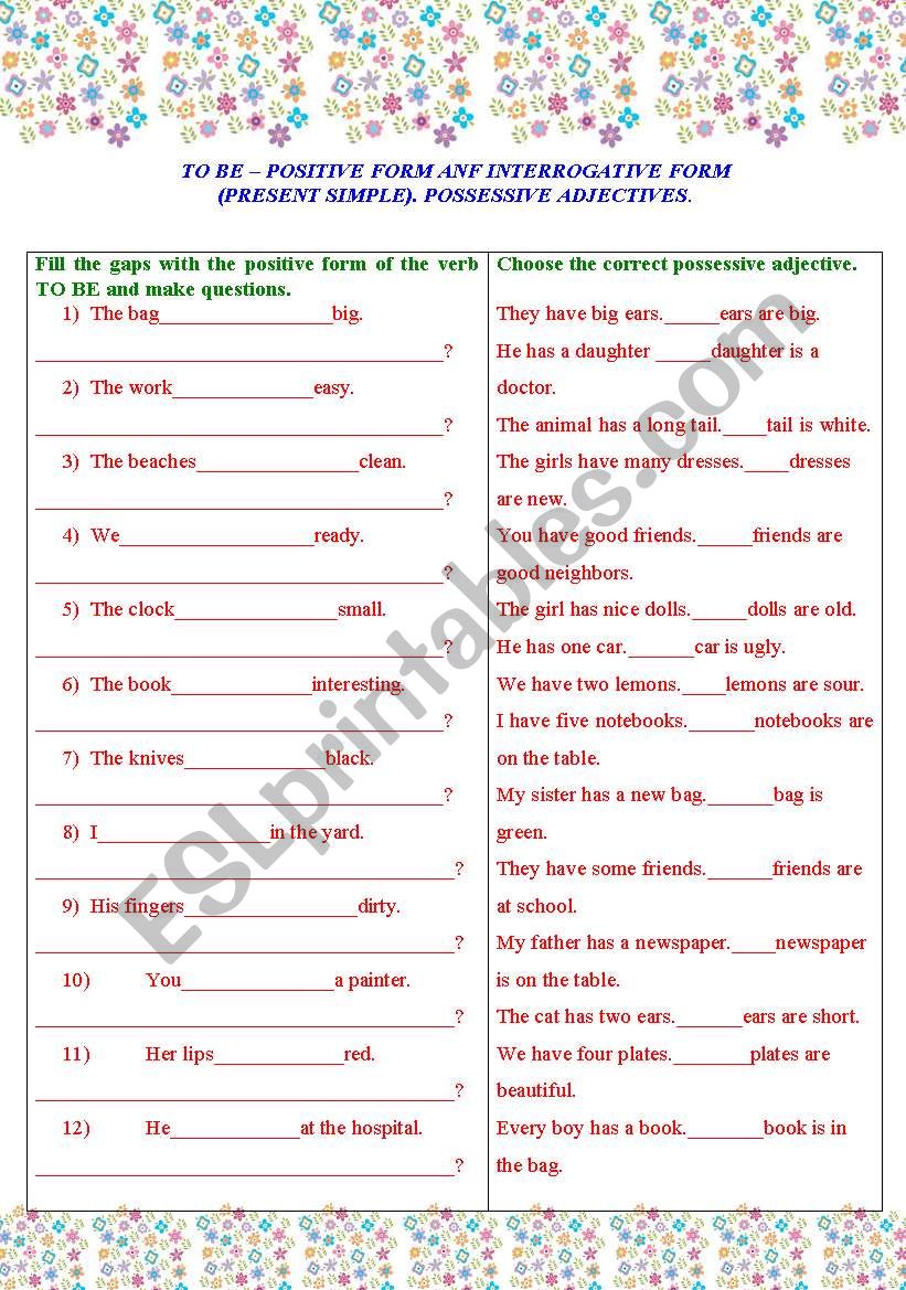 Present Simple of teh verb TO BE (positive form and questions). Possessive Adjectives. 