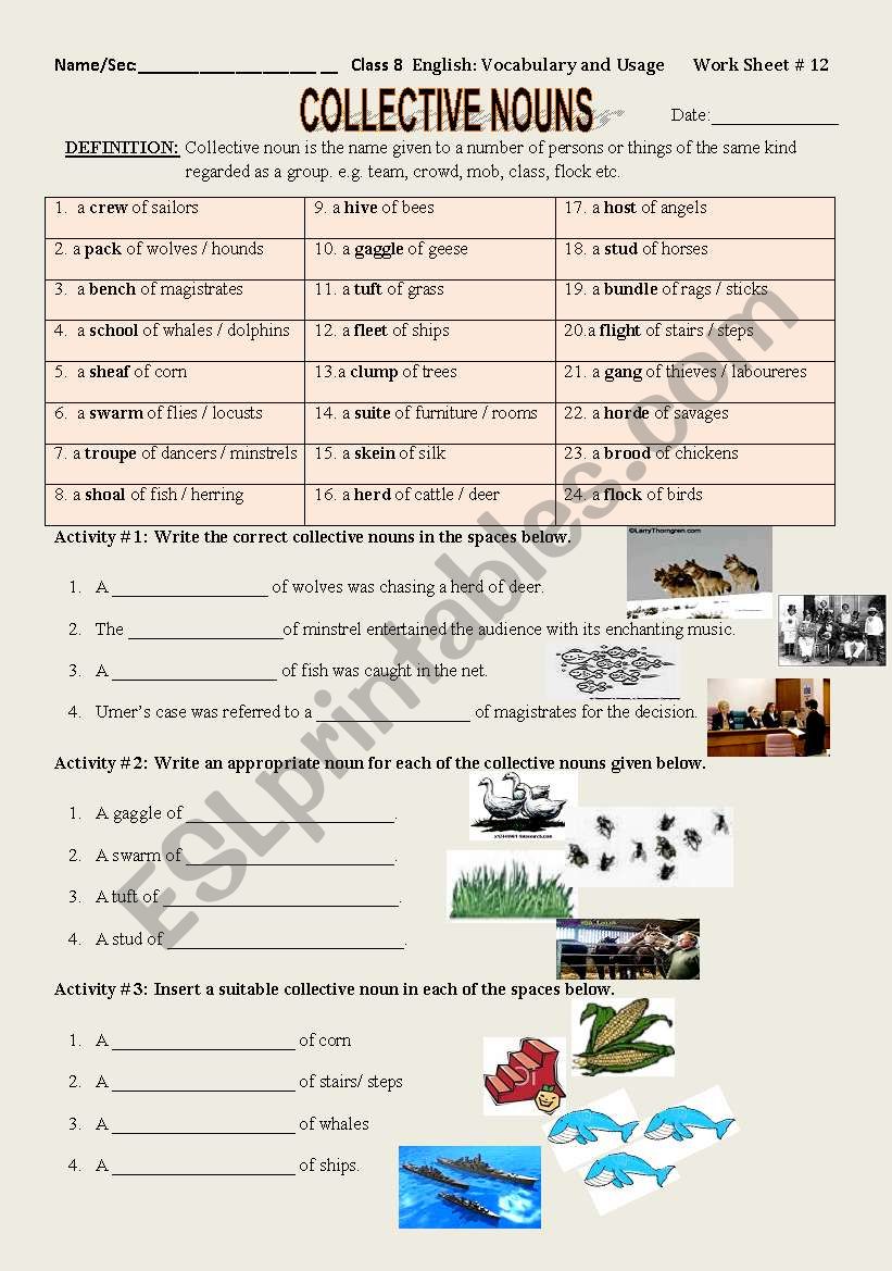  collective nouuns worksheet