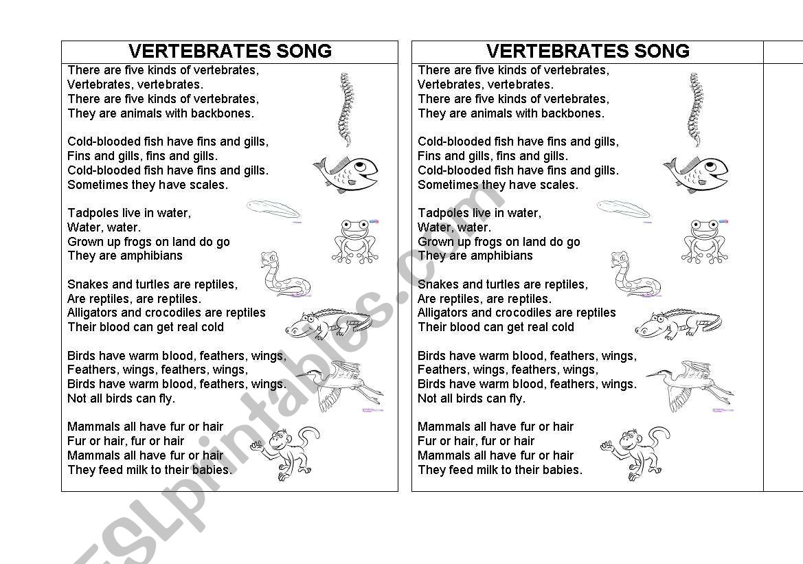 vertebrates song worksheet