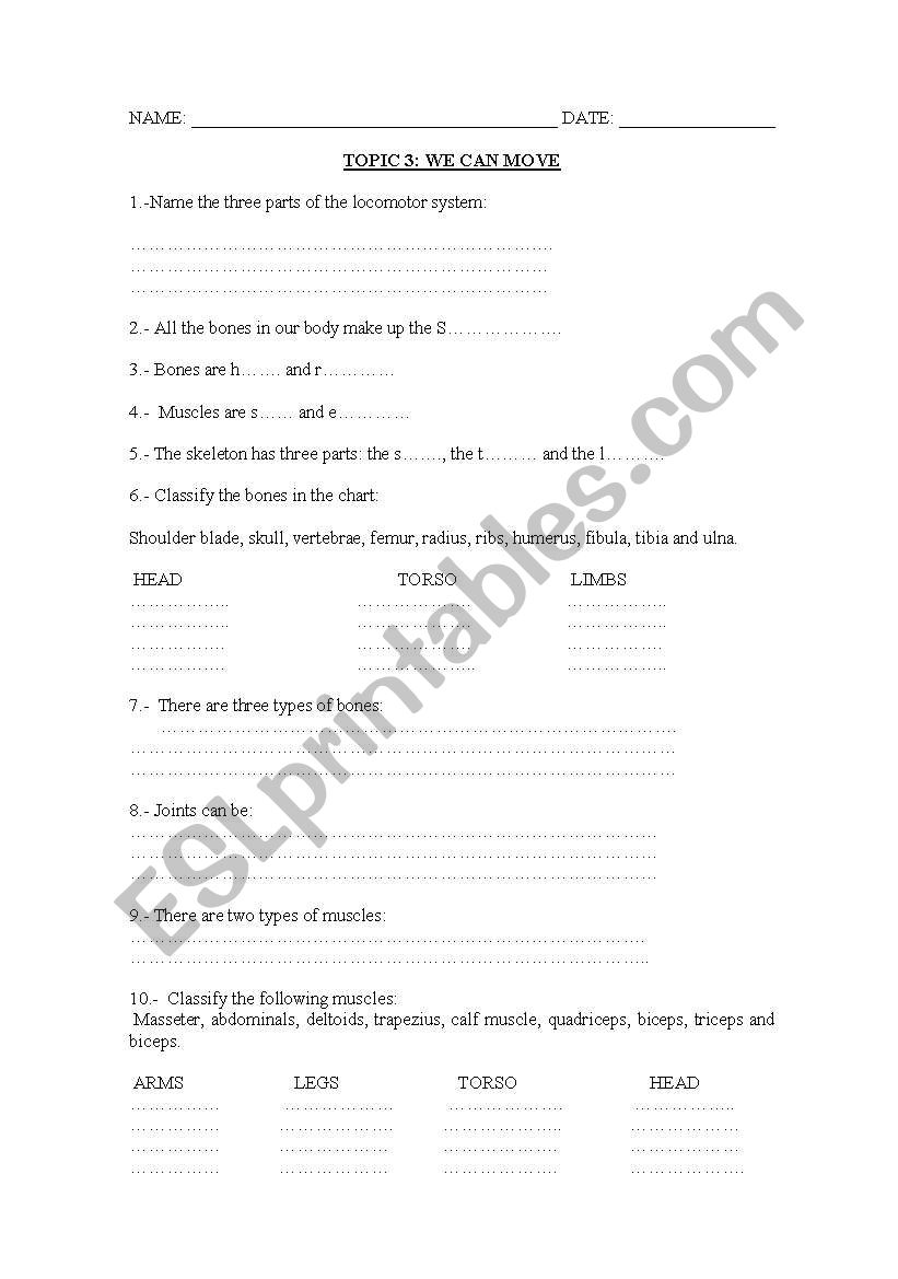 human body exam worksheet