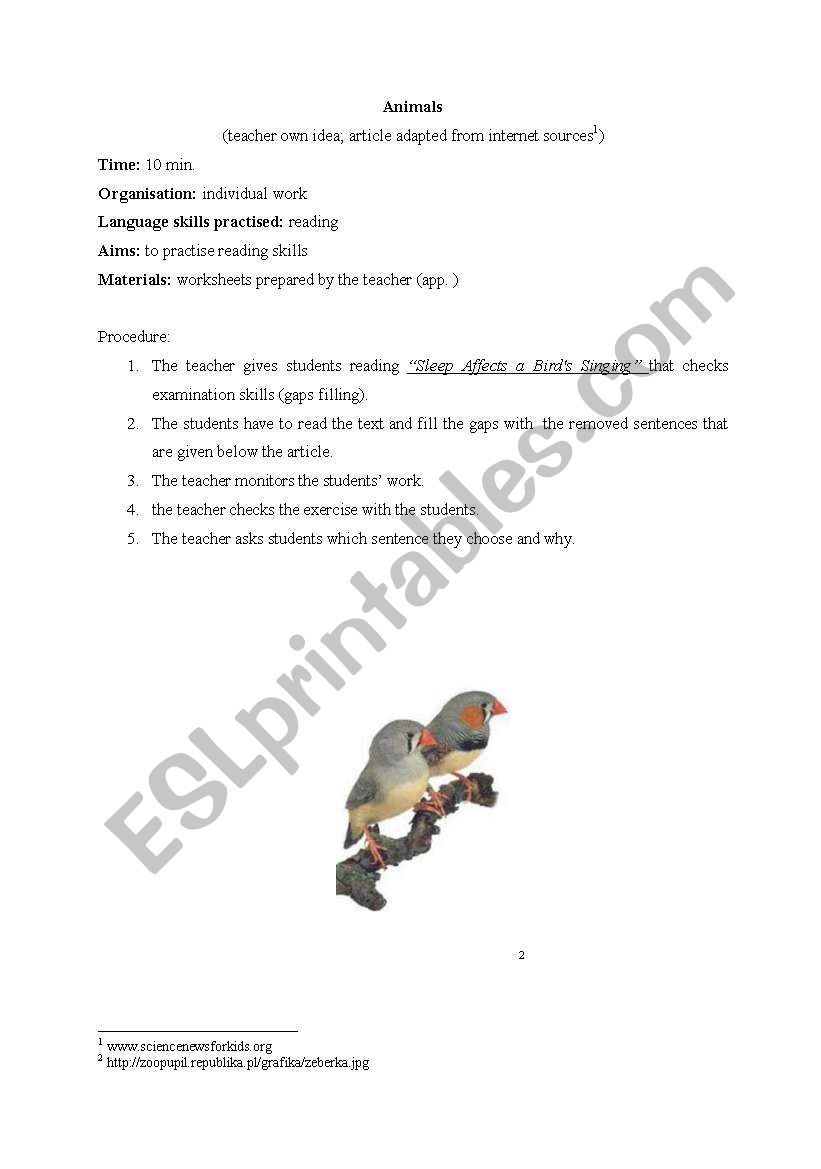 Animals - procedure worksheet