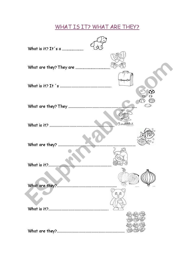 WHAT IS IT? WHAT ARE THEY? worksheet