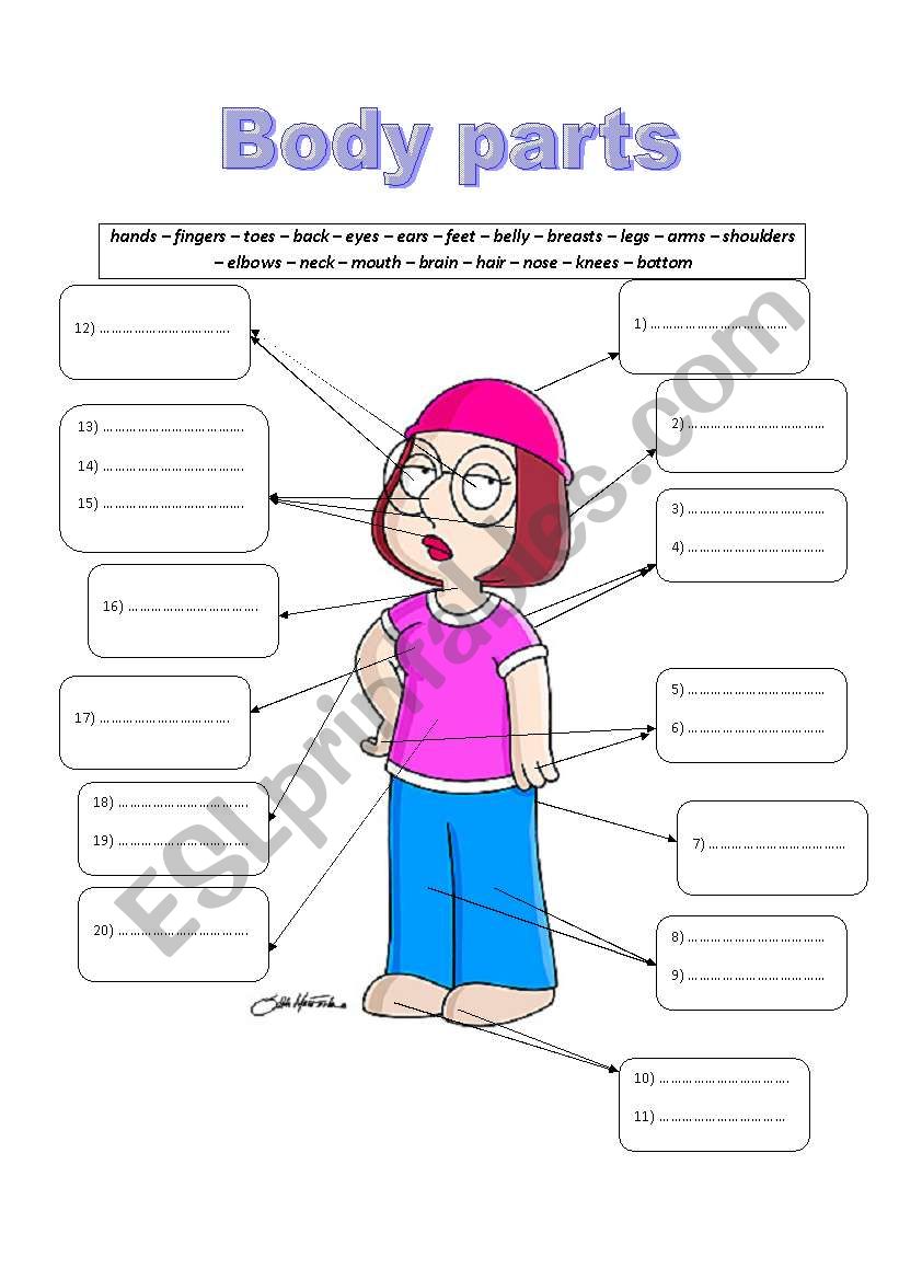 Parts of the body worksheet