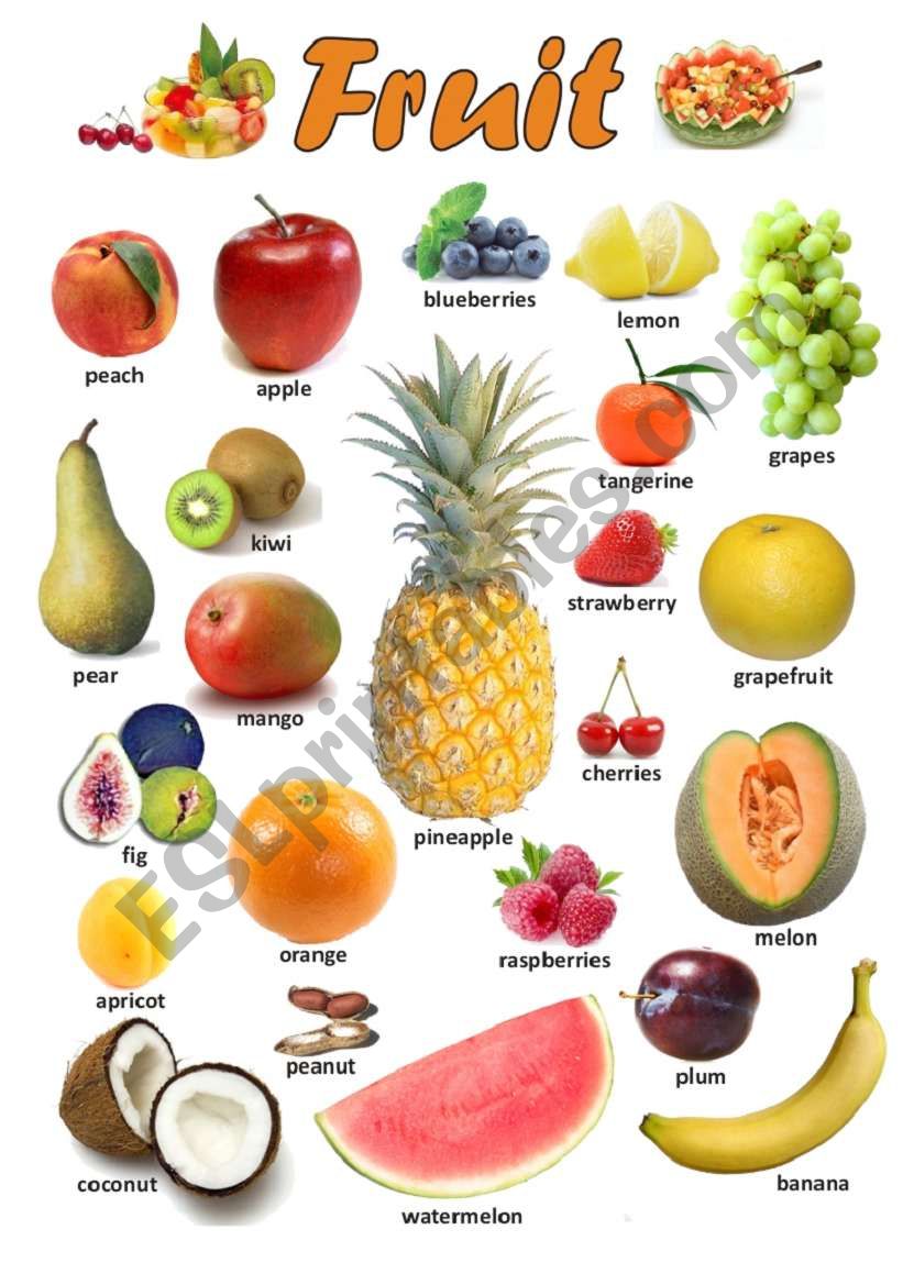 FRUIT 1/3 worksheet