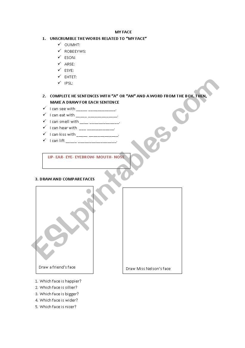 My face worksheet