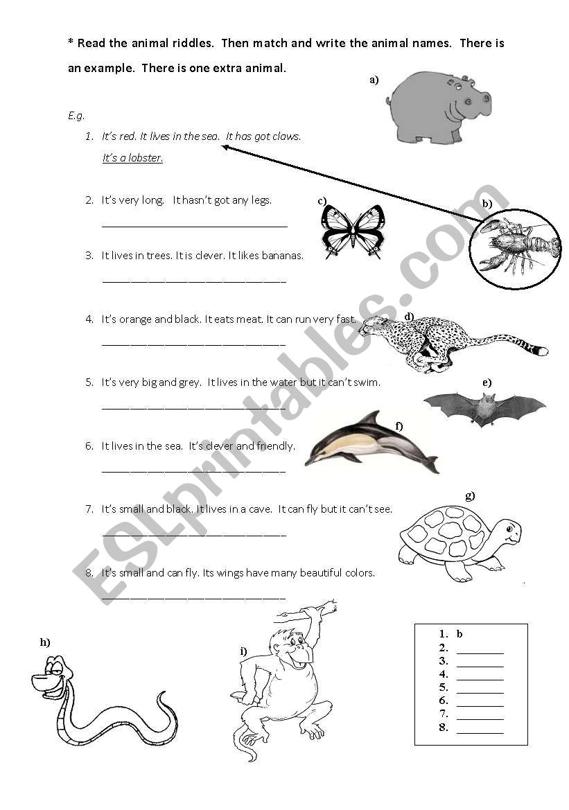 Animal Riddles worksheet