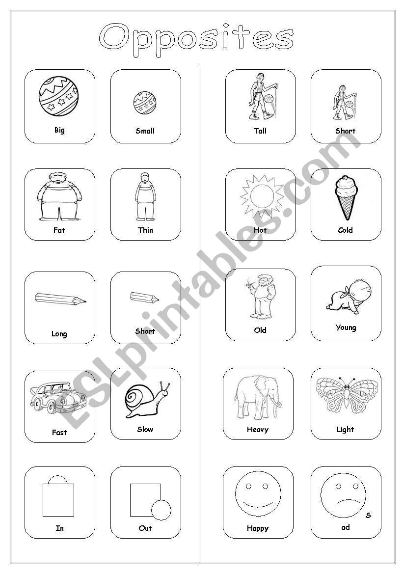 Opposites pictionary worksheet