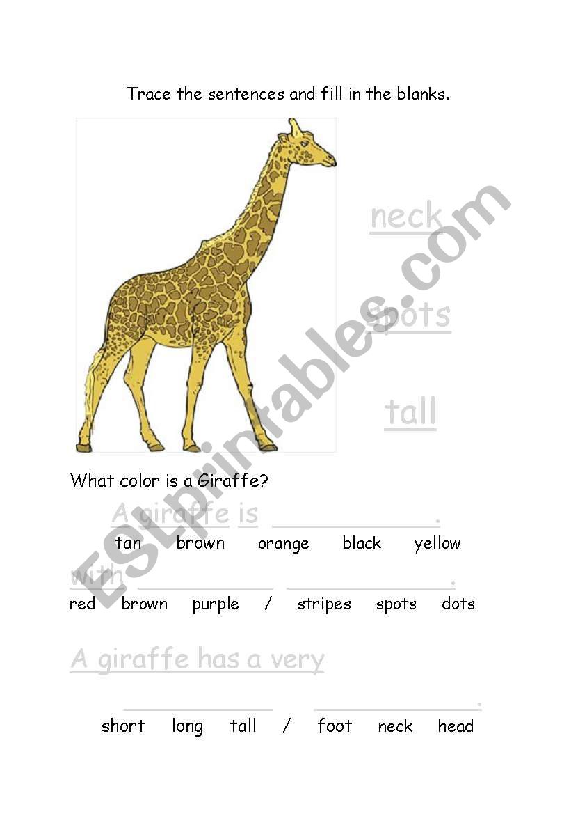 Giraffe01 worksheet