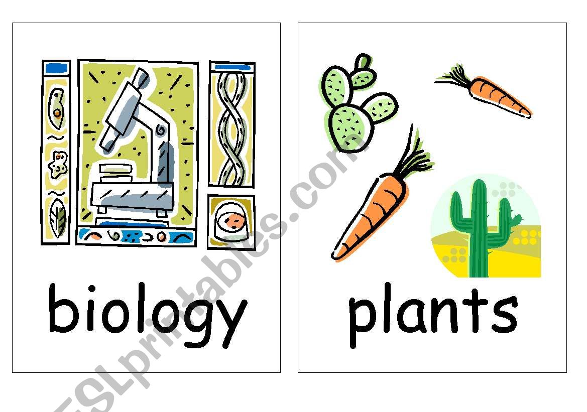Plants worksheet