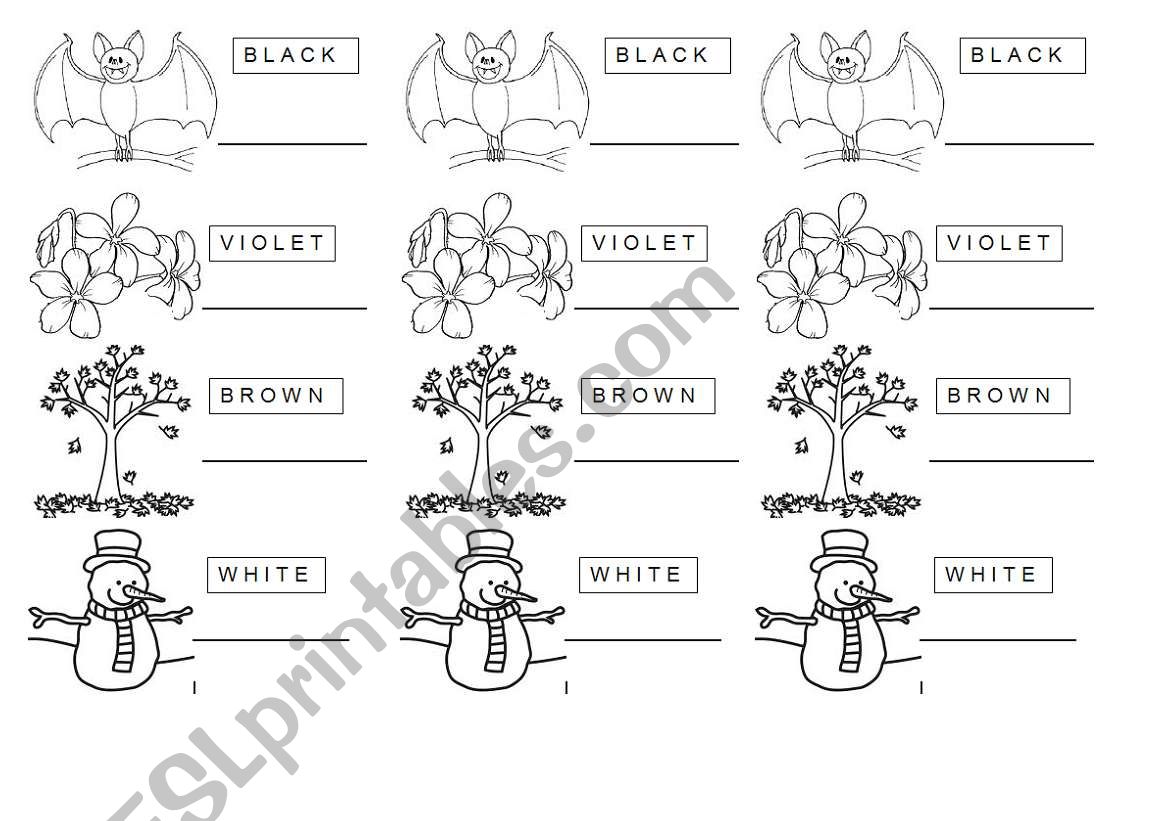 Colors  worksheet