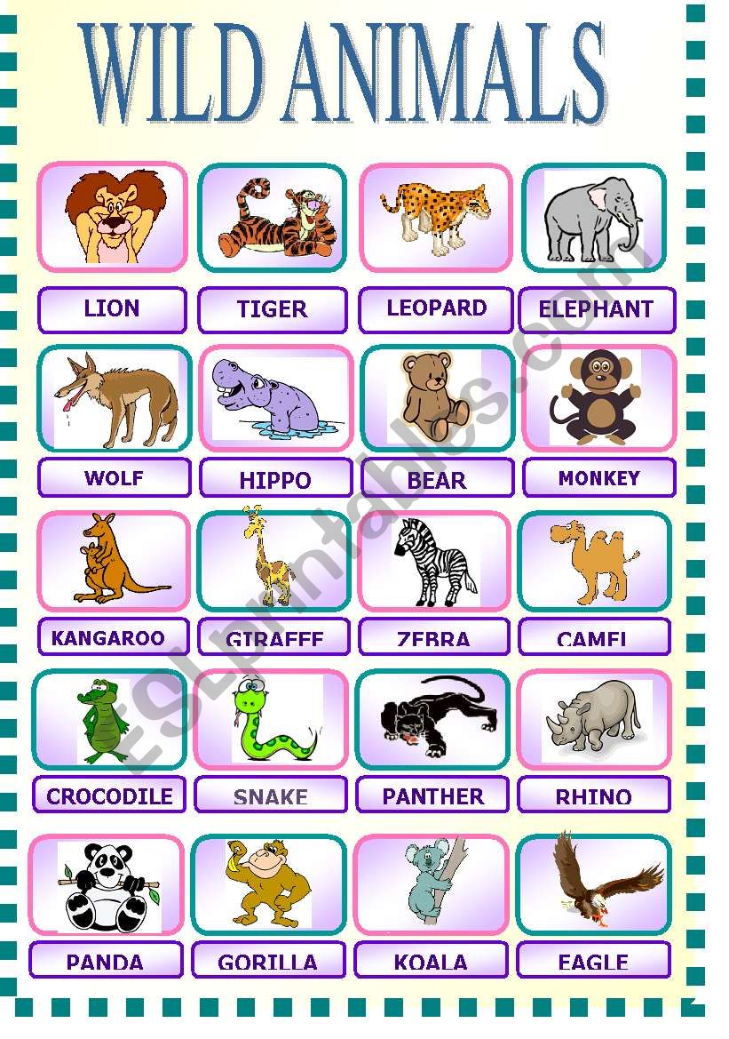 WILD ANIMALS worksheet