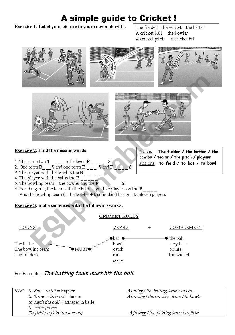 A simple guide to cricket worksheet