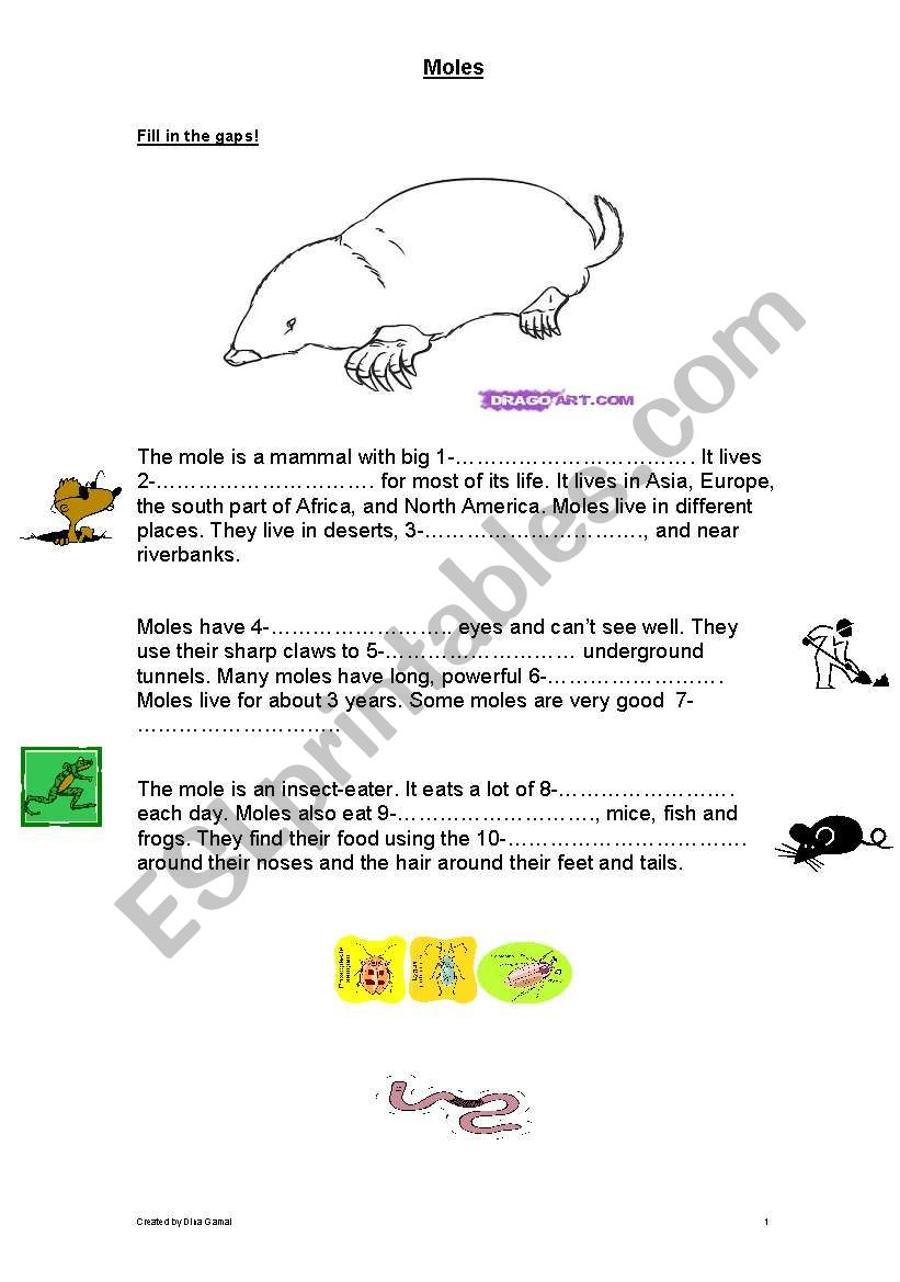 Moles worksheet