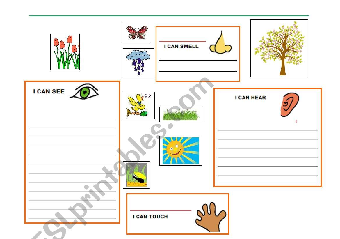 IN THE GARDEN FOR REAL worksheet