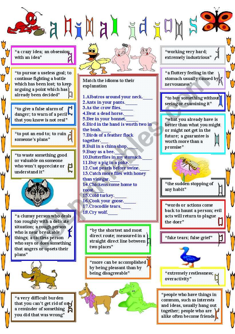 animal idioms 1 worksheet