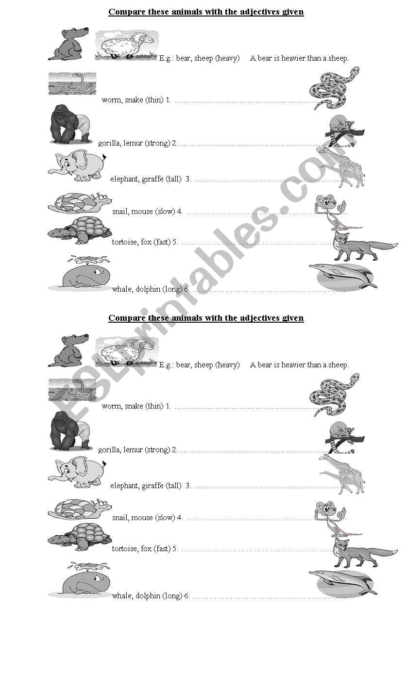excellent pictures comparatives